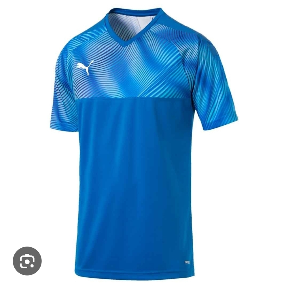 Puma Men's Blue Performance Shirt